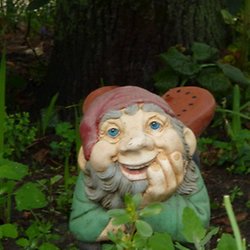 Guidelines Pearltrees